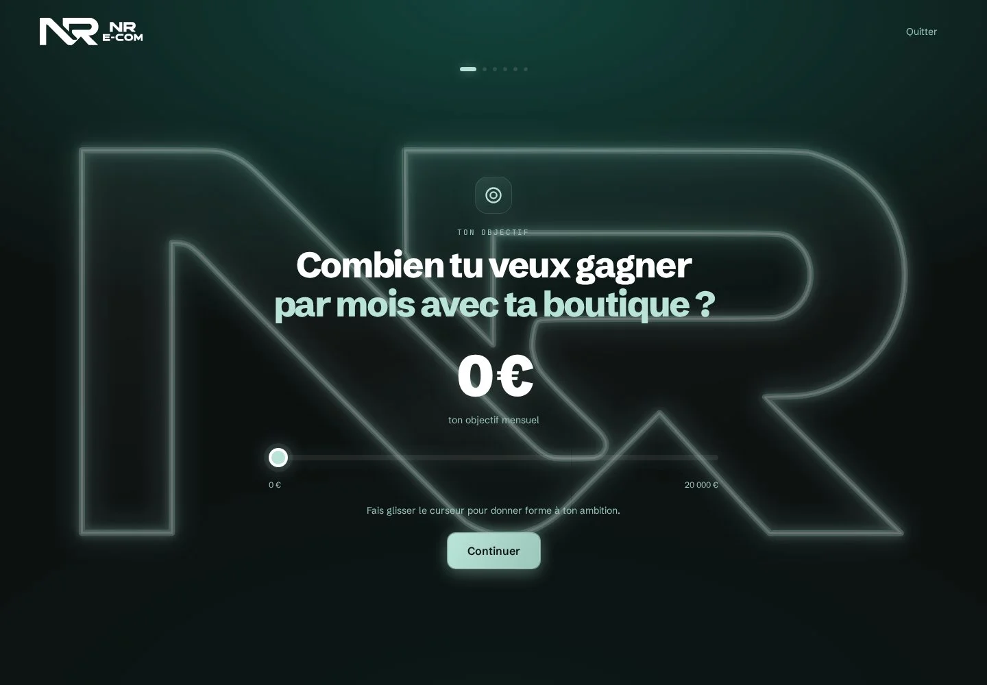 NR Ecom · Aperçu du site